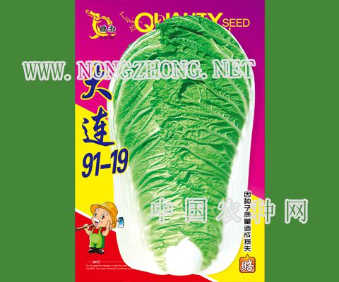 大连91-19